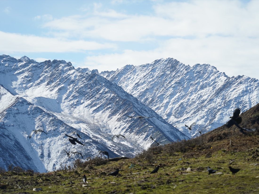 沿路雪山景色