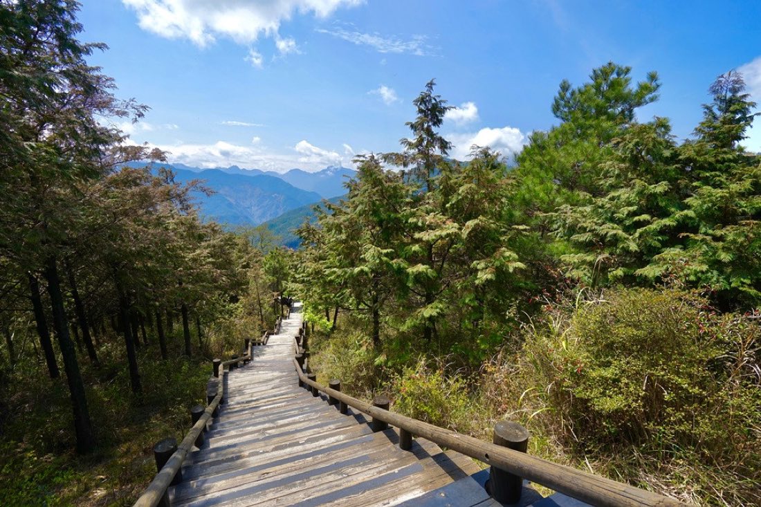 幽靜原始大鹿林道
